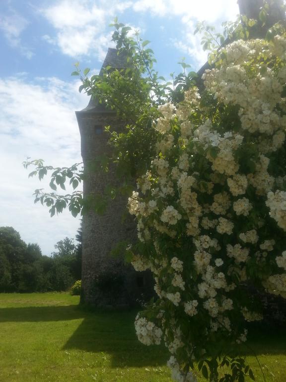 Manoir De La Branche Bed & Breakfast Maen Roch Luaran gambar