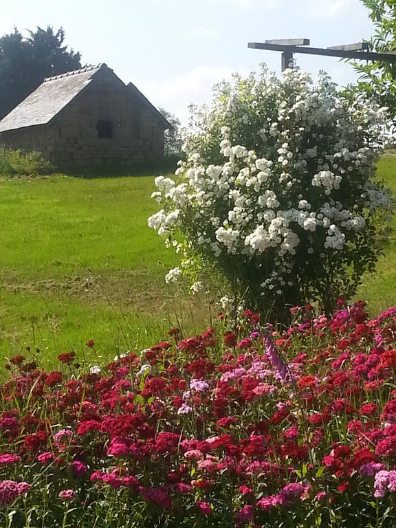 Manoir De La Branche Bed & Breakfast Maen Roch Luaran gambar