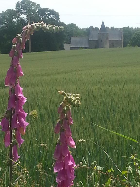 Manoir De La Branche Bed & Breakfast Maen Roch Luaran gambar