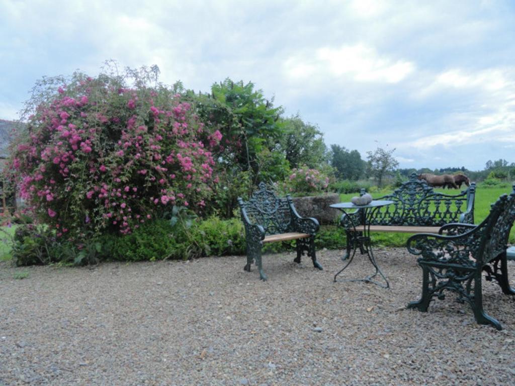 Manoir De La Branche Bed & Breakfast Maen Roch Luaran gambar
