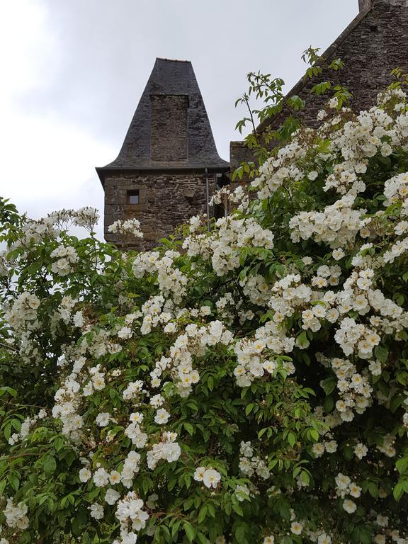 Manoir De La Branche Bed & Breakfast Maen Roch Luaran gambar