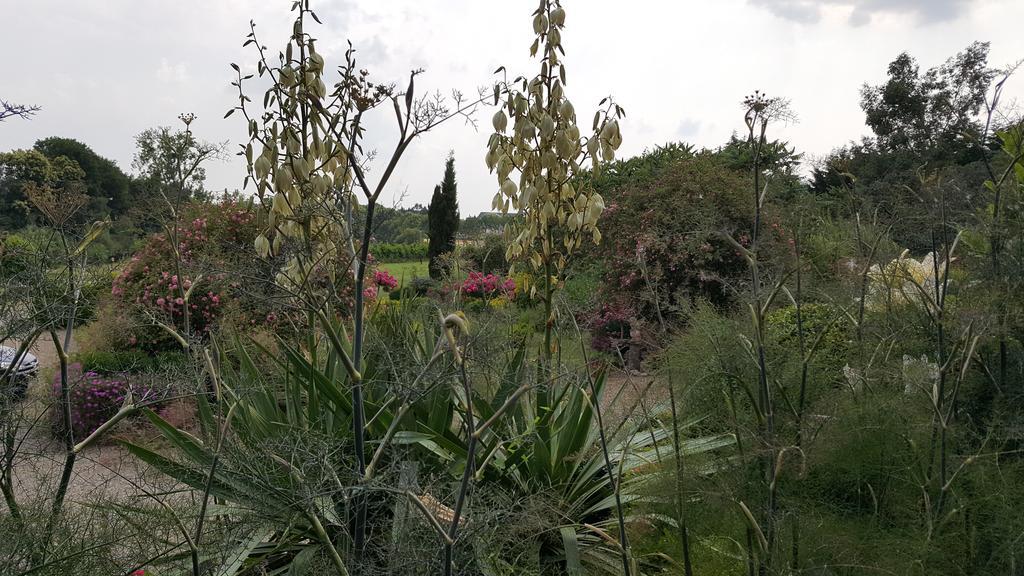Manoir De La Branche Bed & Breakfast Maen Roch Luaran gambar