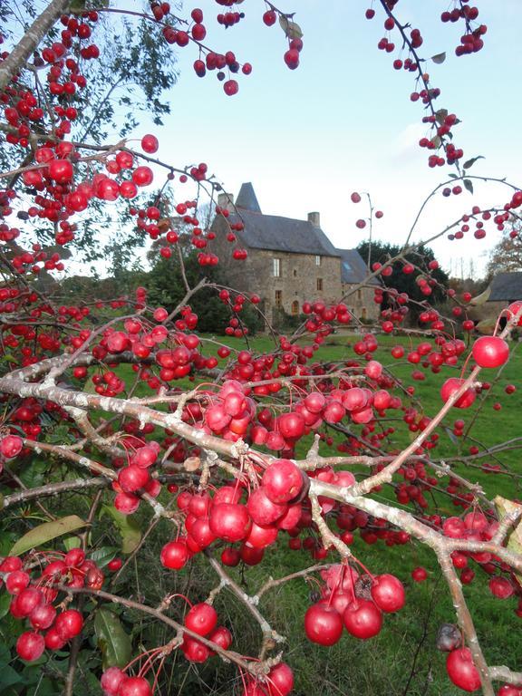 Manoir De La Branche Bed & Breakfast Maen Roch Luaran gambar