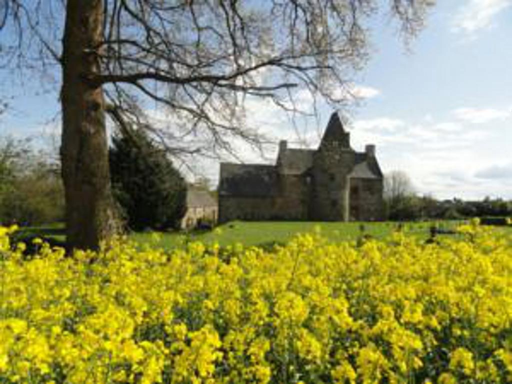 Manoir De La Branche Bed & Breakfast Maen Roch Luaran gambar